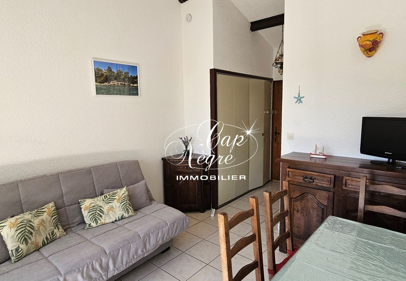 Ferienwohnung in Le Lavandou - 163