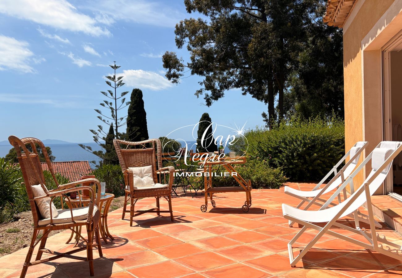 Villa in Rayol-Canadel-sur-Mer - 171