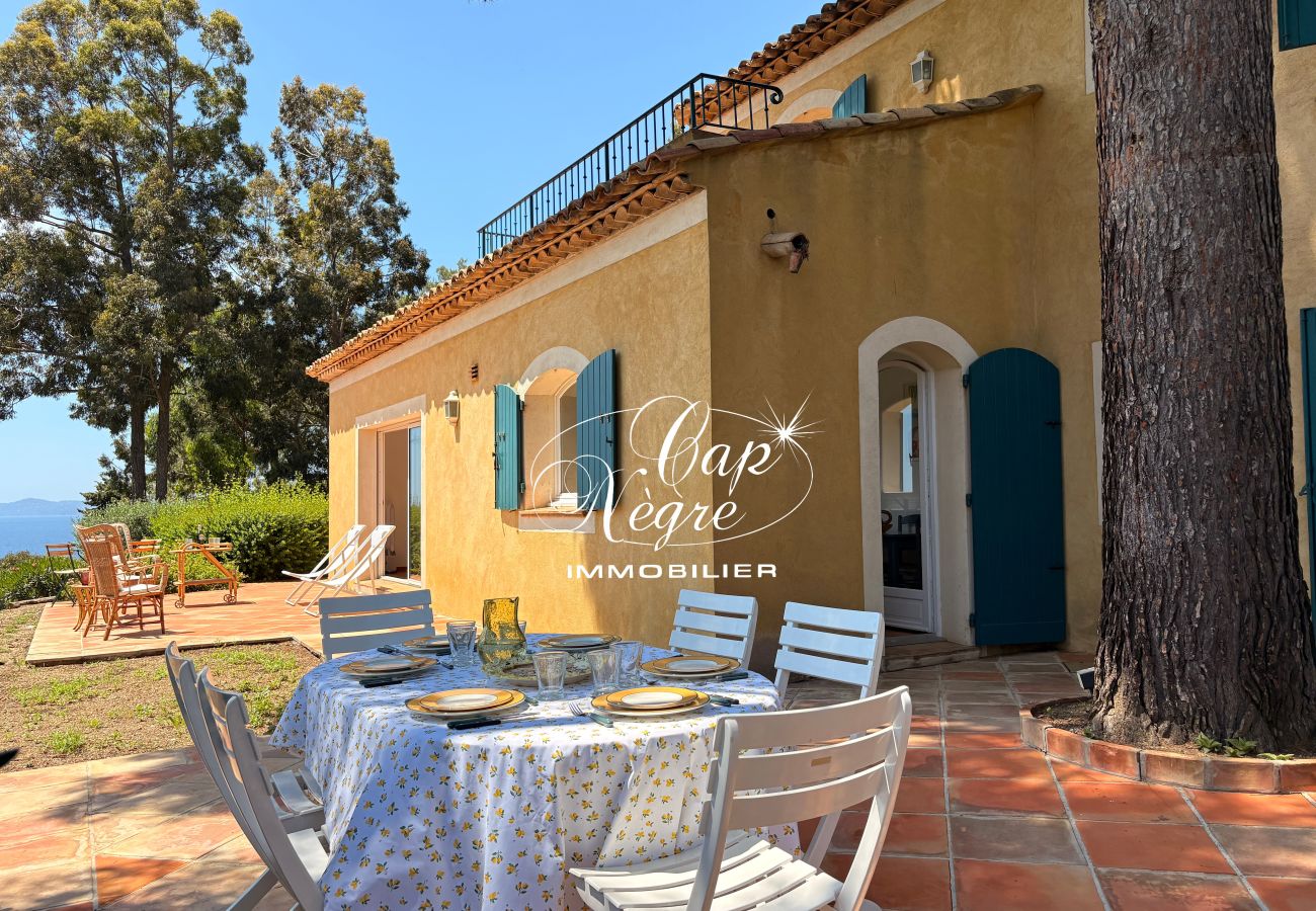 Villa in Rayol-Canadel-sur-Mer - 171