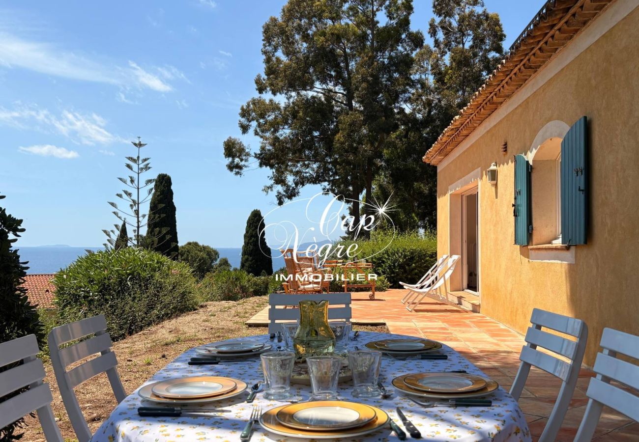 Villa in Rayol-Canadel-sur-Mer - 171