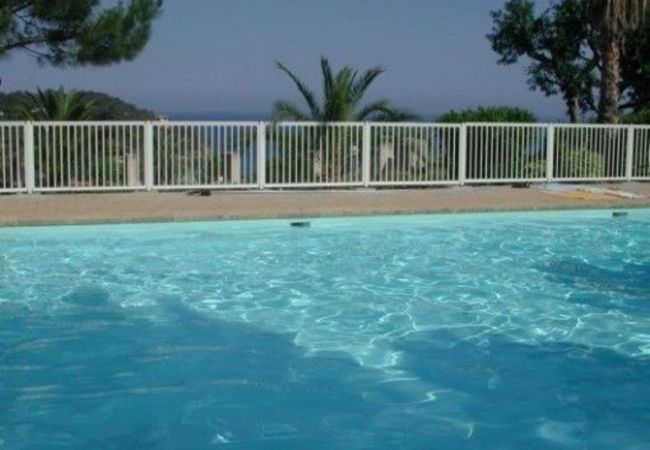 Apartment in Rayol-Canadel-sur-Mer - 027 Apartment in Rayol-Canadel-sur-Mer - 027