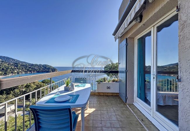 Apartment in Rayol-Canadel-sur-Mer - 027 Apartment in Rayol-Canadel-sur-Mer - 027