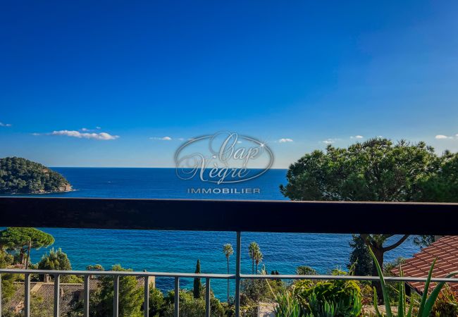 Apartment in Rayol-Canadel-sur-Mer - 027 Apartment in Rayol-Canadel-sur-Mer - 027