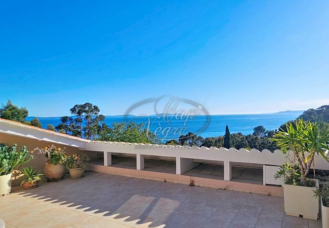  in Rayol-Canadel-sur-Mer - 033