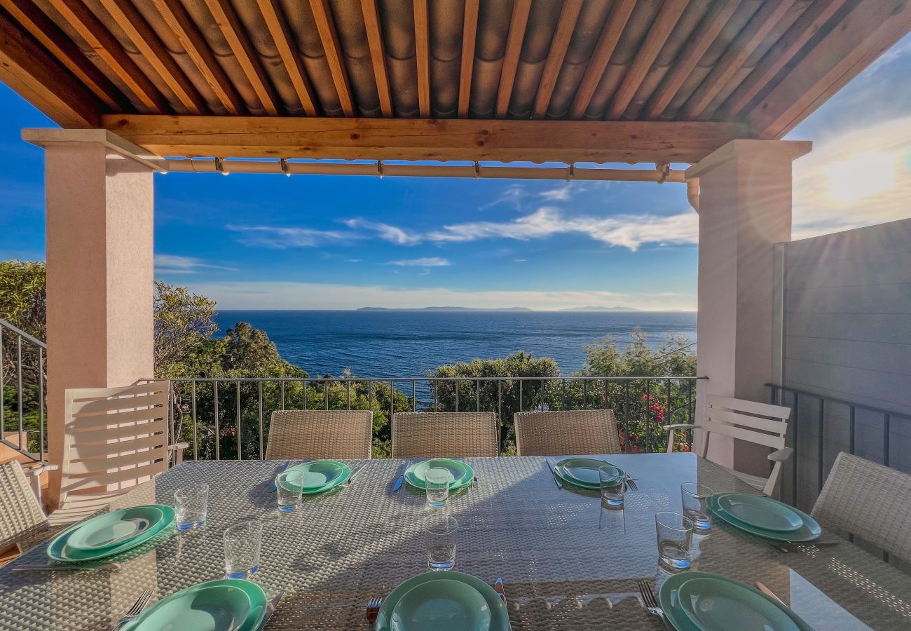 House in Rayol-Canadel-sur-Mer - 136