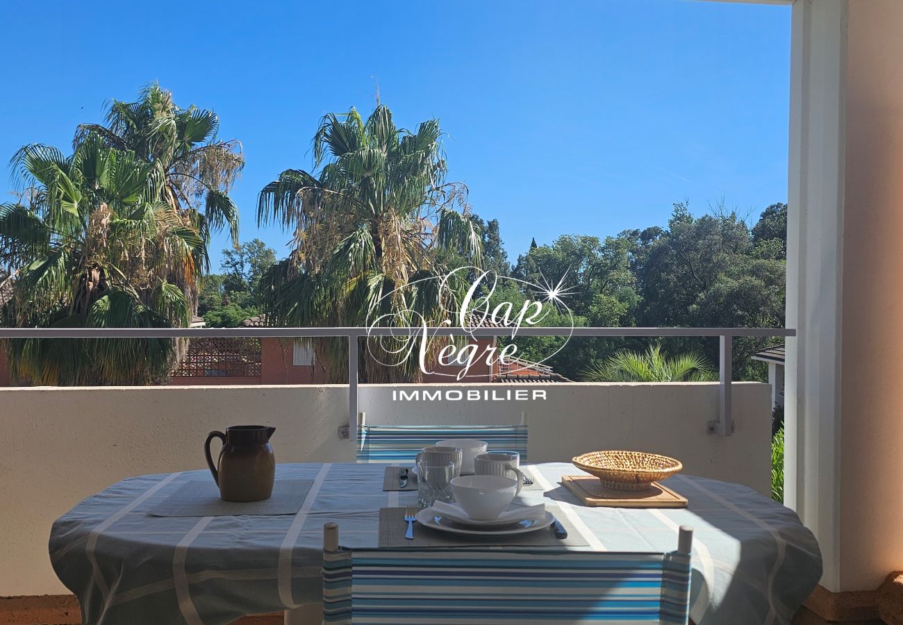 Studio in Le Lavandou - 177
