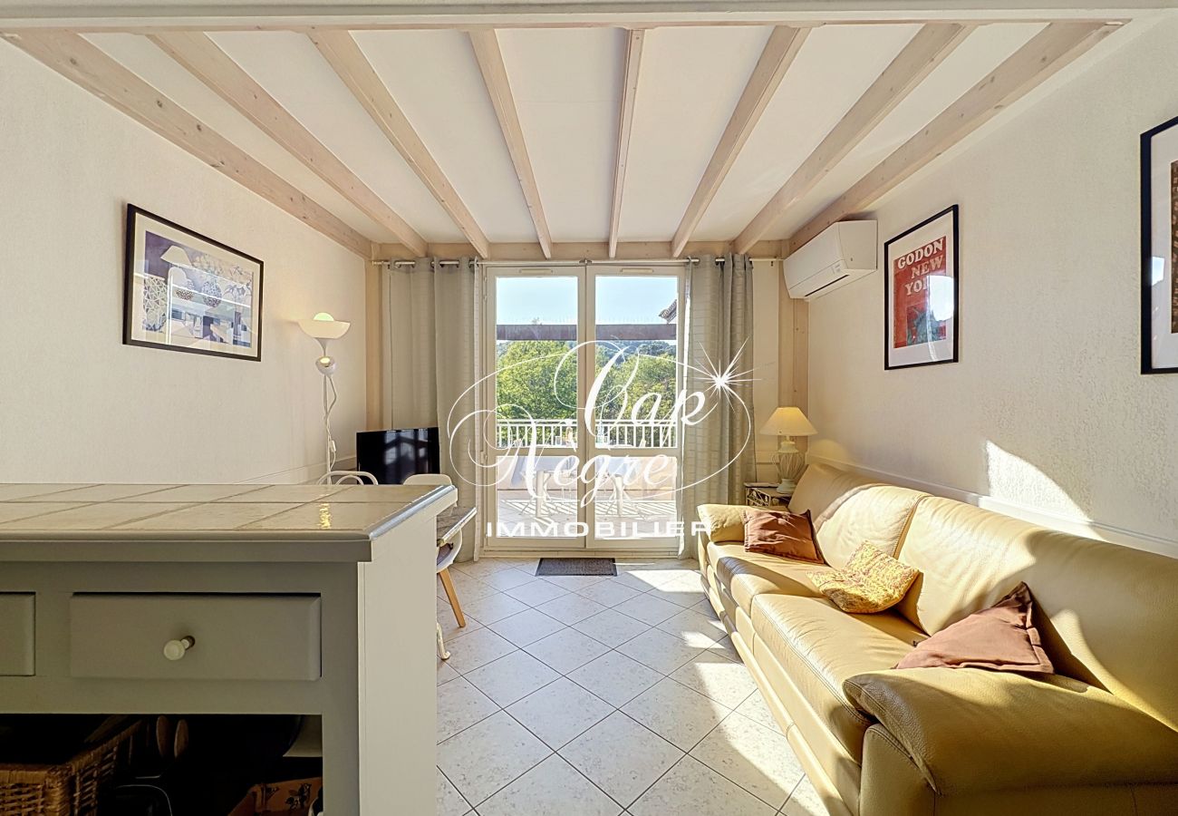 Apartment in Le Lavandou - 192