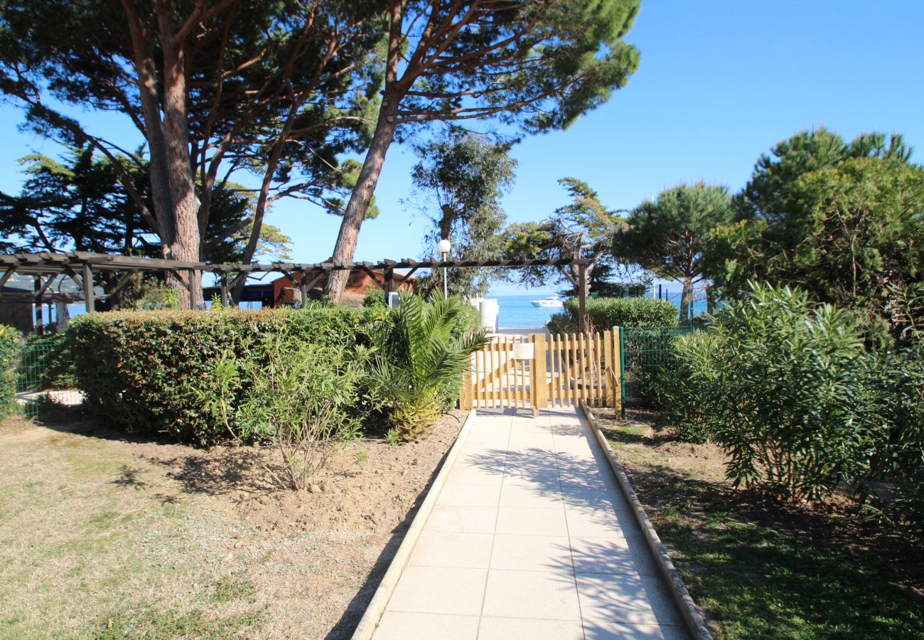 Appartement à Le Lavandou - 050