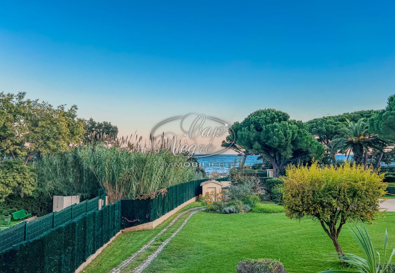 Appartement à Le Lavandou - 050
