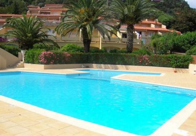 Appartement à Le Lavandou - 168 Appartement à Le Lavandou - 168