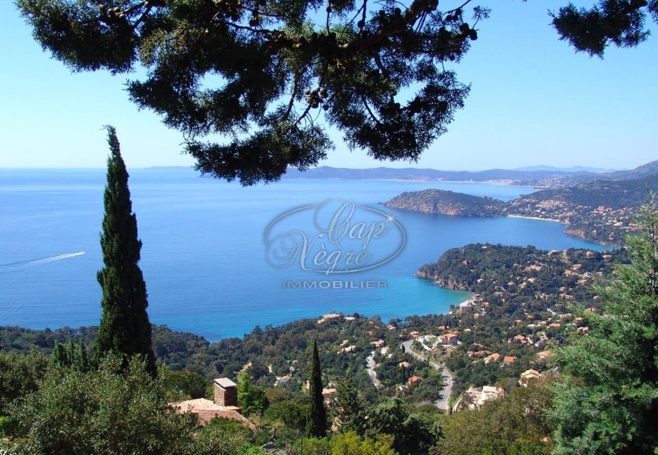 Villa à Rayol-Canadel-sur-Mer - 171