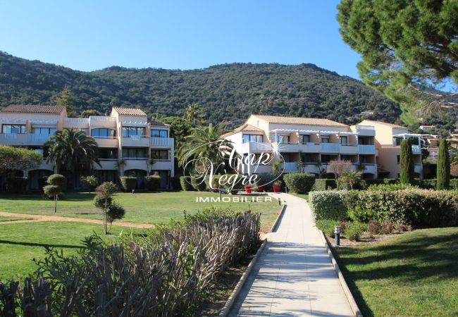 Appartement à Le Lavandou - 173 Appartement à Le Lavandou - 173