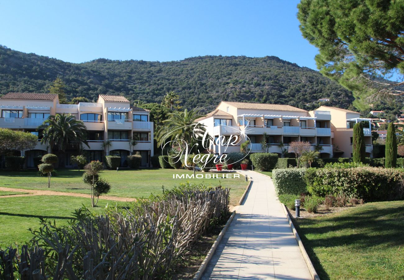 Appartement à Le Lavandou - 173
