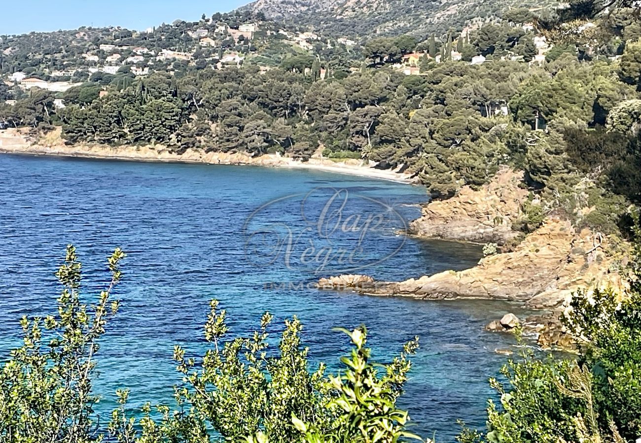 Appartement à Le Lavandou - 185